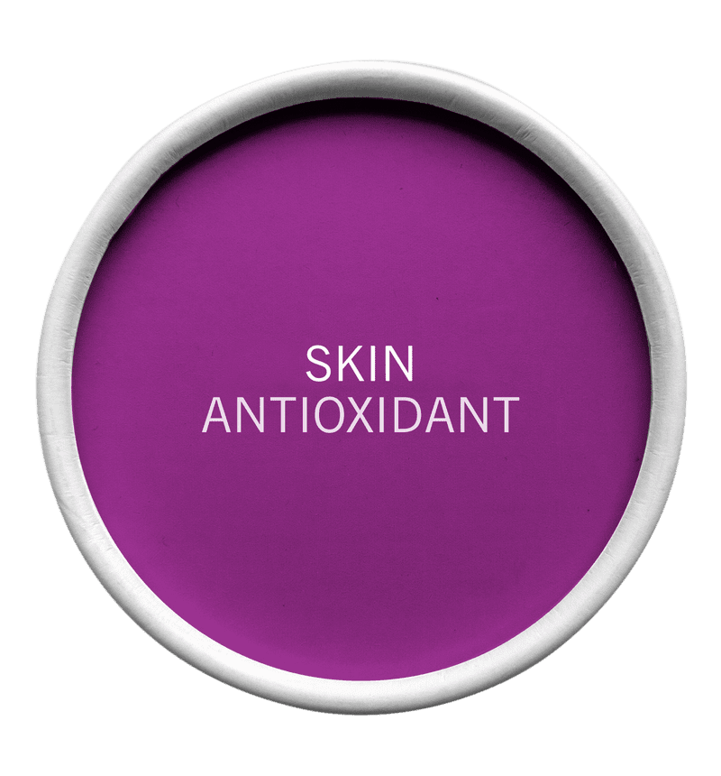 Skin Antioxidant - Image 2